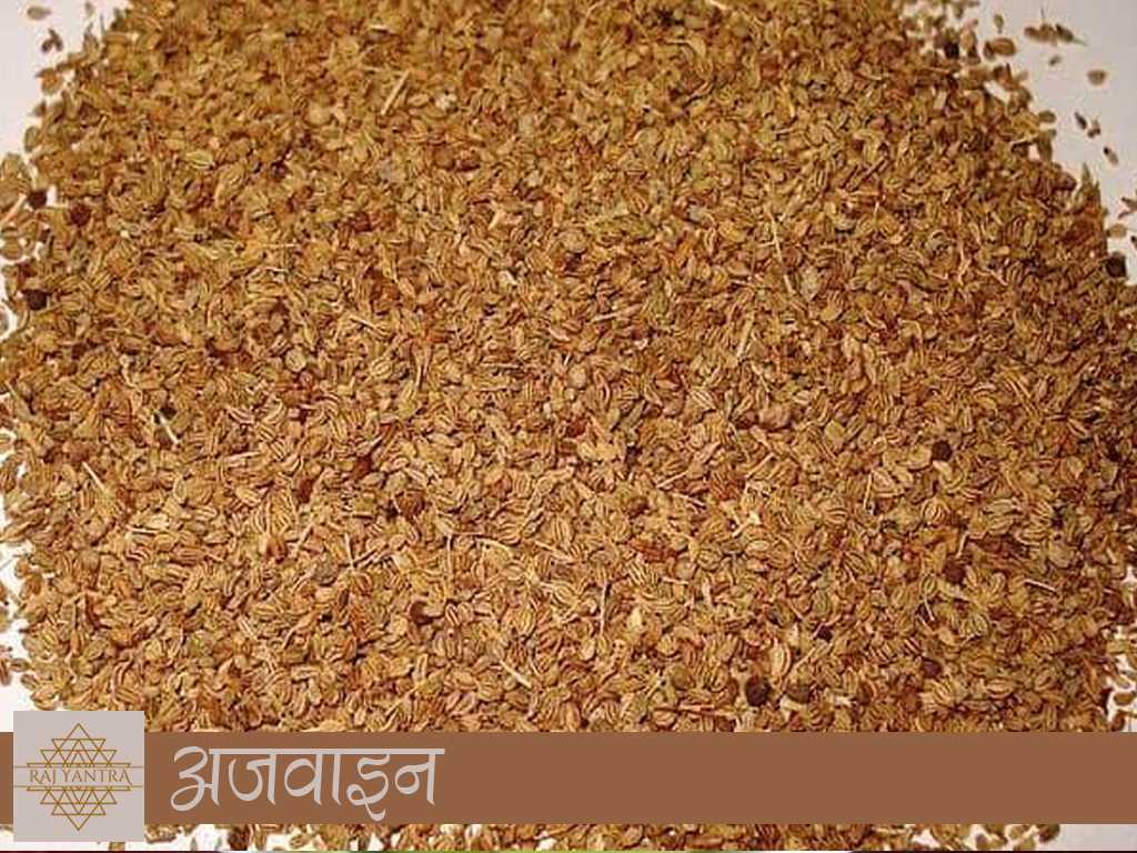 अजवाइन-कोरोना वायरस में भी है लाभदायी