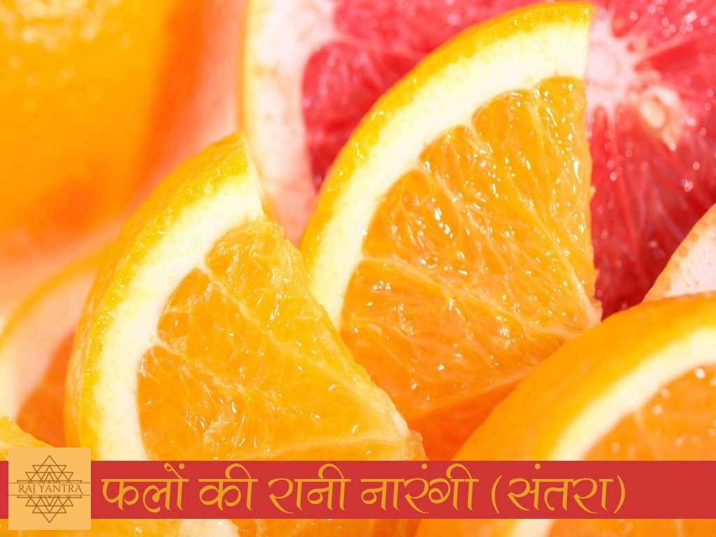 फलों की रानी नारंगी (संतरा)