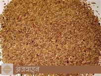 अजवाइन-कोरोना वायरस में भी है लाभदायी